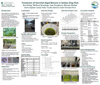 1- Ingm SDP Trt - BE487 Team 1 PosterThumbnail.jpg